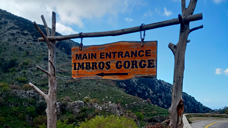 Imbros gorde